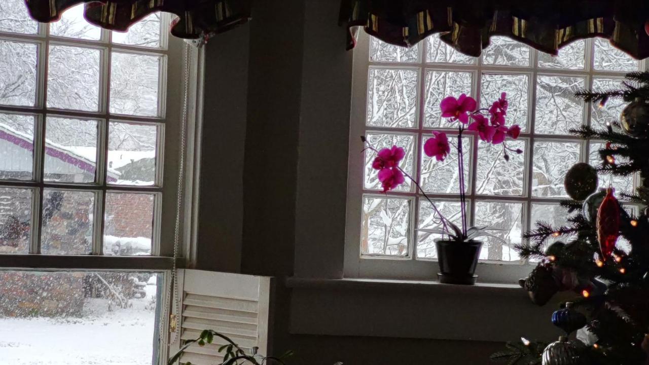 Granbury Gardens Bed And Breakfast المظهر الخارجي الصورة